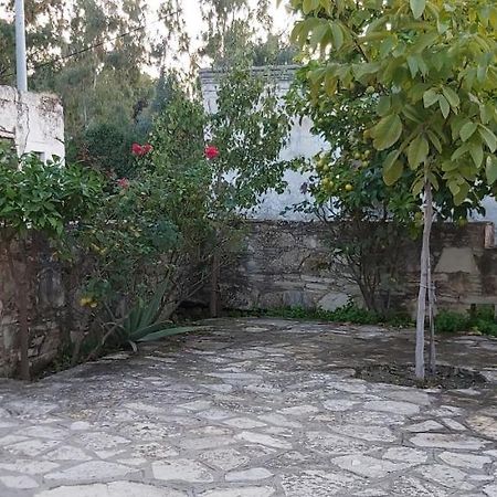 Small Traditional House In Asfendiou Kos Agios Dimitrios  エクステリア 写真