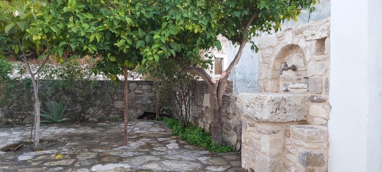 Small Traditional House In Asfendiou Kos Agios Dimitrios  エクステリア 写真