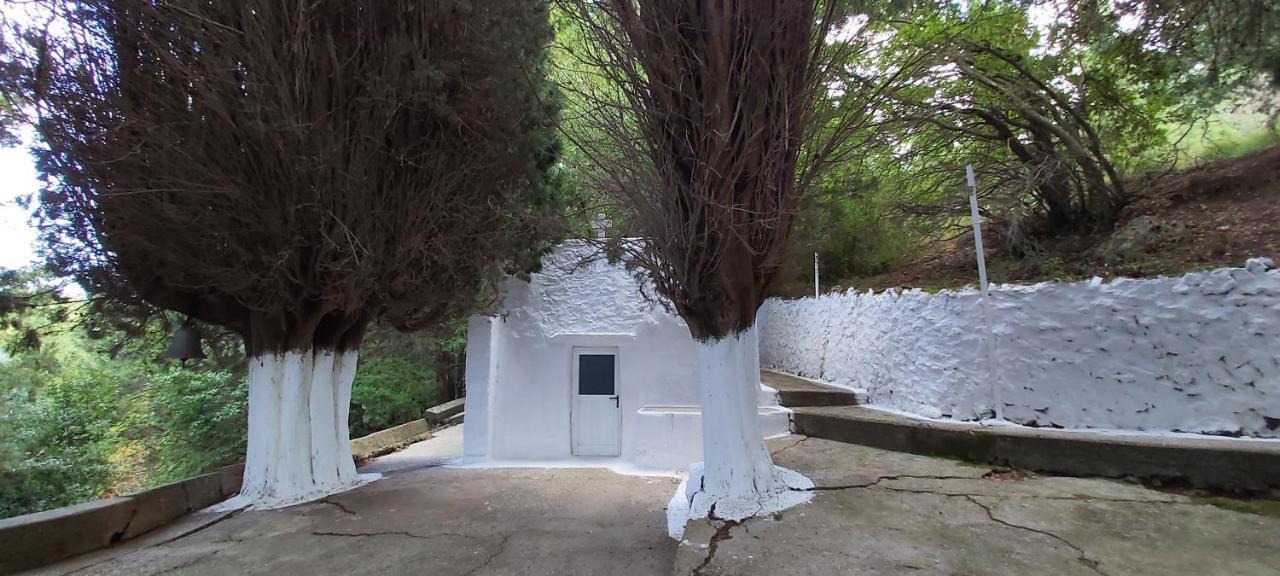 Small Traditional House In Asfendiou Kos Agios Dimitrios  エクステリア 写真